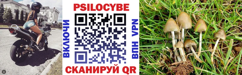 купить наркотики цена  Николаевск-на-Амуре  Псилоцибиновые грибы Cubensis 